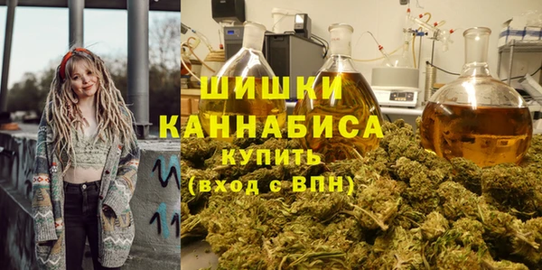 шишки Козельск