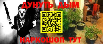 сатива Абинск