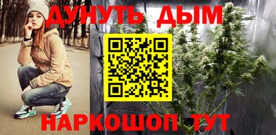 сатива Абинск
