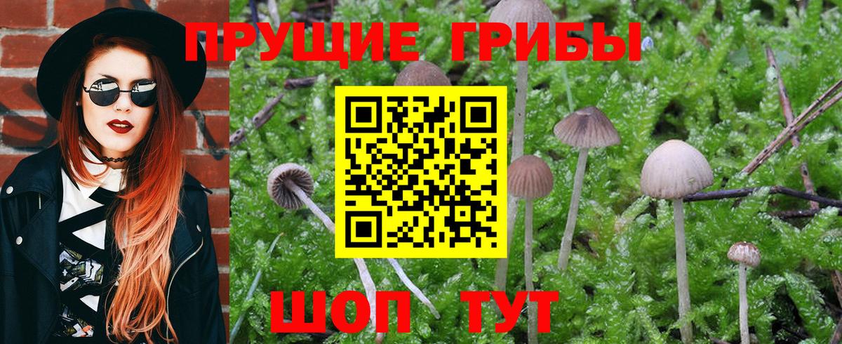 Галлюциногенные грибы Cubensis Бор