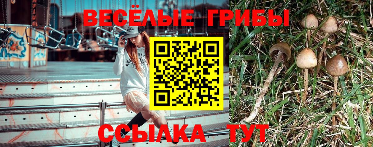 Галлюциногенные грибы мицелий  Вход с VPN  Бор 