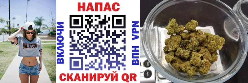 Бошки Шишки конопля  Бор 