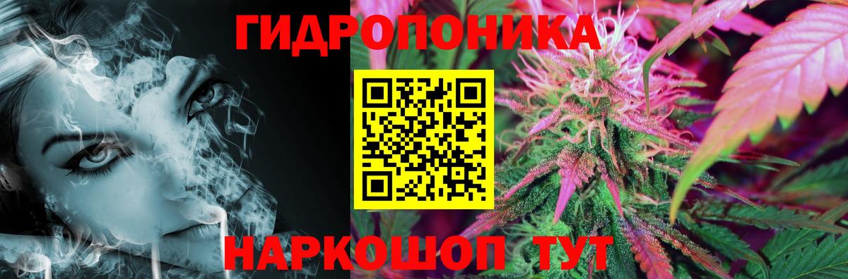 МАРИХУАНА конопля Бор
